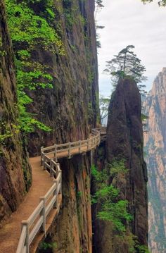 a wooden walkway going up the side of a mountain with trees growing on it's sides