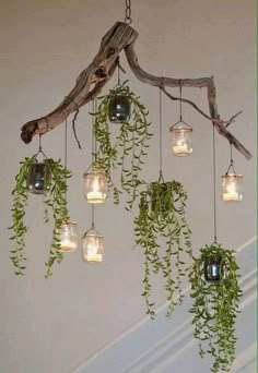 a chandelier made out of branches and glass jars filled with plants hanging from it