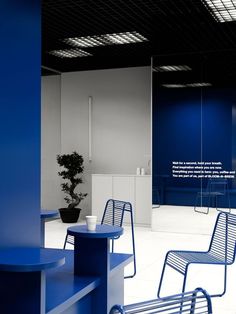 an empty room with blue chairs and a potted plant on the table in front of it