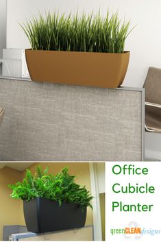 office cubicle planter with grass growing in it and the words office cubicle planter below