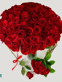 a bouquet of red roses in a vase