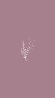 a white flower on a pink background