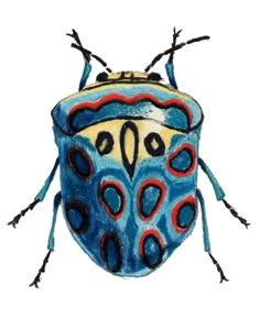 a drawing of a blue bug with red and black spots on it's body