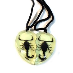 PRICES MAY VARY. RESIN Imported 2 real scorpions necklaces 2 pieces combined makes heart shaped Glow In The Dark Length of cord: adjustable from 15 in to 28 in Monster Energy Heart Necklace, Heart Rib Cage Necklace, Cheap Red Enamel Pin, Matching Heart Jewelry, Can Cap Heart Necklace, Heart Can Necklace, Soda Heart Necklace, Best Buds Necklace, Matching Skeleton Necklace