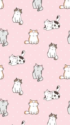 cats and kittens on pink background with polka dot pattern for wallpaper or fabric