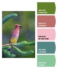 a bird sitting on top of a green tree branch with color swatches in the background