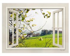 an open window looking out onto a green field