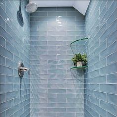 a bathroom with blue tile and a shower head