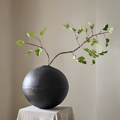 a black vase sitting on top of a table next to a tree branch in it