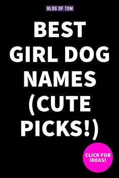 the words'best girl dog names cute picks'are in white letters on a black background