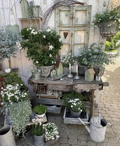 several potted plants are sitting on an old table