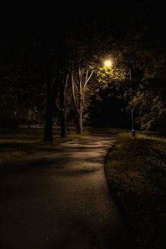 an empty road in the middle of a park at night