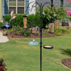 a bird feeder on a pole with birds in it