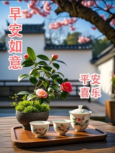 there are three bowls with flowers in them on the table next to a tree and building