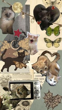 a collage of pictures with cats and butterflies