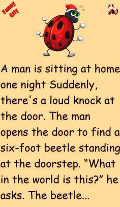 a ladybug is sitting at home and one night suddenly, there's a loud knock at the door