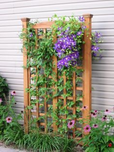 a wooden trellis with purple flowers growing on it's sides and green leaves