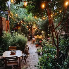 an outdoor dining area with lights strung over the table and chairs, surrounded by greenery