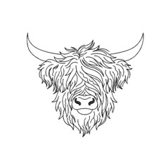 the head of a buffalo with long horns