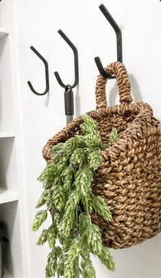 a basket hanging on the wall with three black hooks and a green plant in it