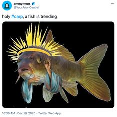 an image of a fish that is holding something in it's mouth and looking at the camera