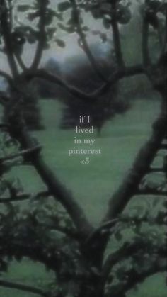 a heart shaped tree with the words if i lived in my pinterest