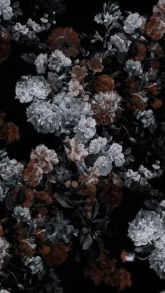 black and white flowers are shown in this image with red, gray, and orange colors