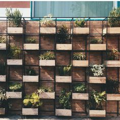 a wall made out of wooden crates filled with plants