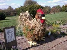 a statue of a rooster made out of hay and plants in a park setting with a sign on the side