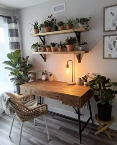 a wooden desk topped with potted plants next to a wall mounted shelf filled with greenery