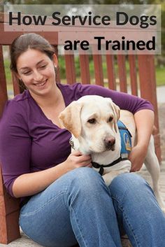 a woman sitting on a bench with her dog and text how service dogs are trained