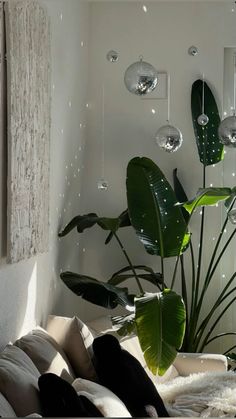 a living room filled with lots of plants and hanging glass globes on the wall