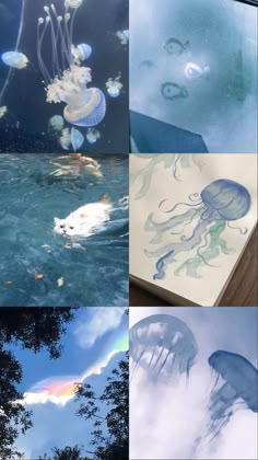 four different pictures of jellyfish in the water and trees, with clouds above them