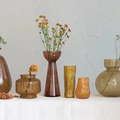 several glass vase in a row on a shelf, 2 have wild flowers in them. Colored Glass Vases Modern, Amber Glass Vase Target, Colored Glass Vase, Dried Botanicals, Colored Glass Vases, Brown Vase, Vase Shapes, Clear Glass Vases, Unique Vases