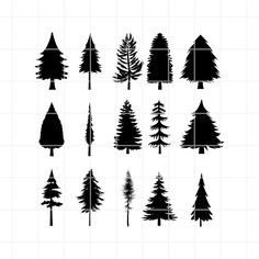 the silhouettes of pine trees are shown in black and white, with different sizes