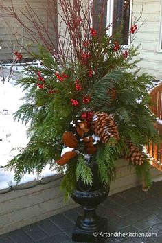 a large potted plant with red berries and pine cones on the outside of a house