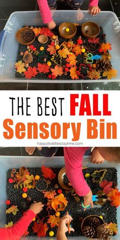 the best fall sensory bin for toddlers to play with