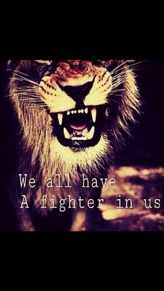 a lion with its mouth open and the words we all have a fighter in us