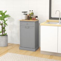 a kitchen with a sink, counter top and potted plant in the corner next to it