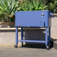 a blue cooler sitting on top of a wooden floor next to a potted plant