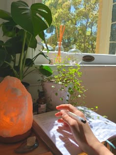 a person sitting at a table with an open book in front of them and a plant next to it