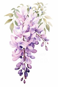 watercolor painting of purple flowers and green leaves on a white background with text that says,