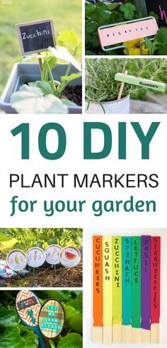 10 DIY Plant Markers for your gardenGreat ideas on making sure you know the names of your plantsgardening Diy Plant Markers, Marker Ideas, Raspberry Cream, Cheese Muffins, Plant Labels