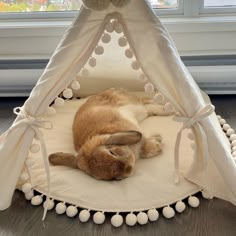 an orange cat laying on top of a white teepee with pom poms