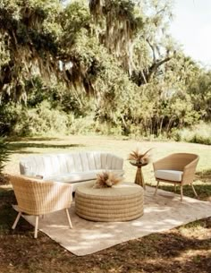 an outdoor seating area with wicker furniture and large trees in the background, surrounded by grass