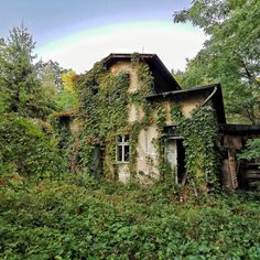 an old abandoned house covered in ivy