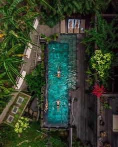 an aerial view of people swimming in a pool surrounded by greenery and palm trees