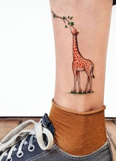 a giraffe eating leaves from a tree on the ankle