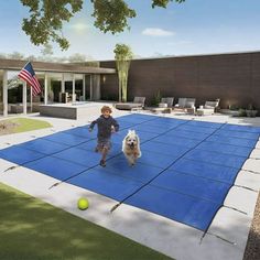 a little boy playing with a dog on a blue mat in front of a house