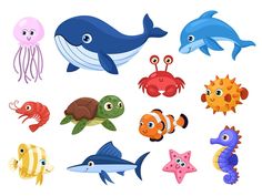 an assortment of sea animals and fish on a white background stock photo edit to be used in